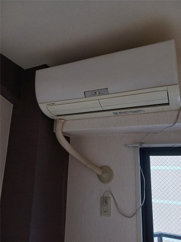 第二ドゥエルなかせいのその他