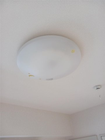 第二ドゥエルなかせいのその他