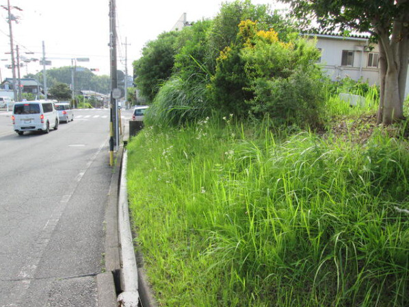 知多市にしの台２丁目　売り土地の周辺