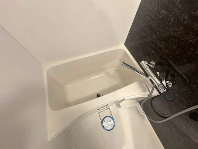 S-RESIDENCE福島玉川Tresの浴室