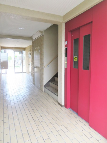 コスモ大宮日進のその他共用部分|明るく清掃の行き届いた共用ロビーは、管理体制の良さを物語ります。鮮やかなカラーが目を引くエレベーターを完備し、重い荷物がある日やベビーカーでの移動もスムーズ。5階の我が家まで快適にアクセス可能です。