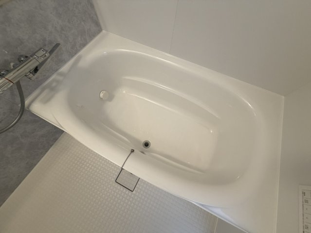 スプランディッド上本町WESTの浴室
