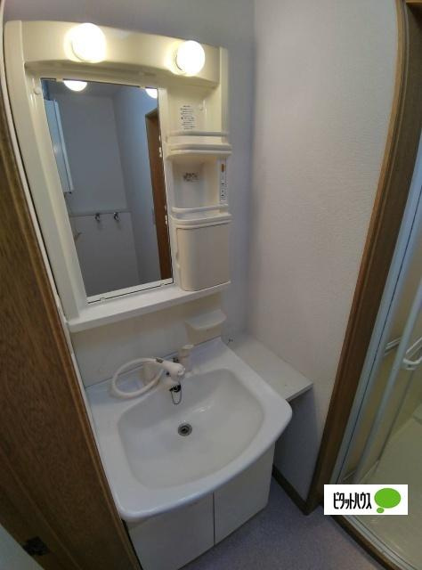 コーポライムライトの洗面所