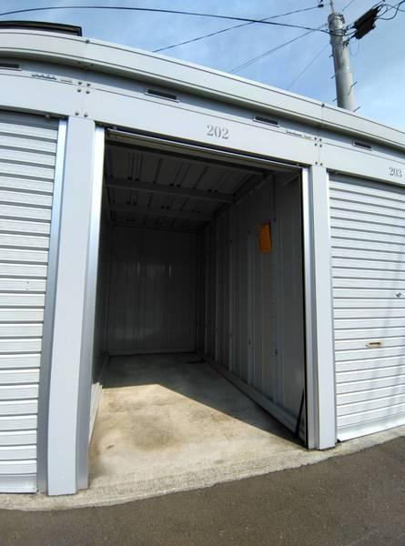 プリマベーラのその他