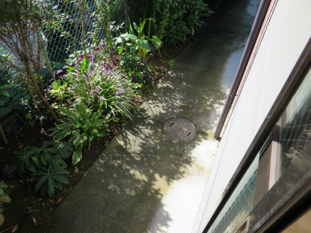 １階のお部屋！