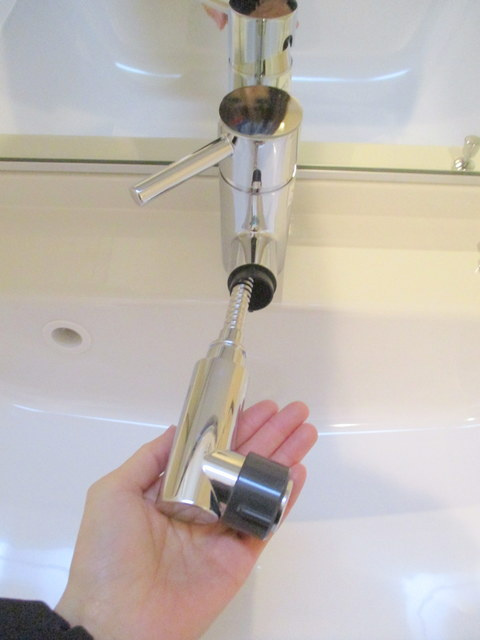 Felice Kitazawaのその他