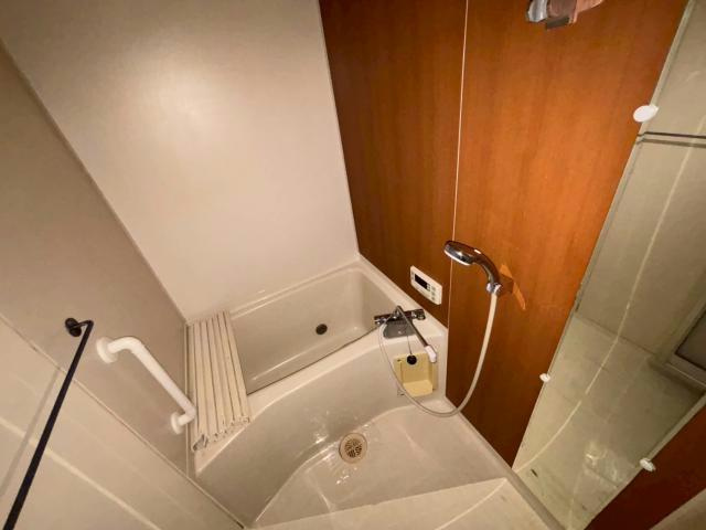 ブエナビスタ高砂の浴室