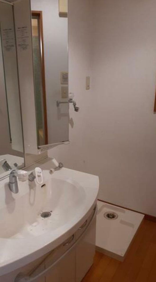 高田一丁目一戸建(タカダイッチョウメイチコダテ) の洗面所