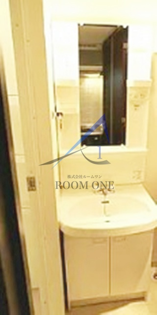 LE-LION Toyosu WISE Residenceの洗面所|洗面台です。