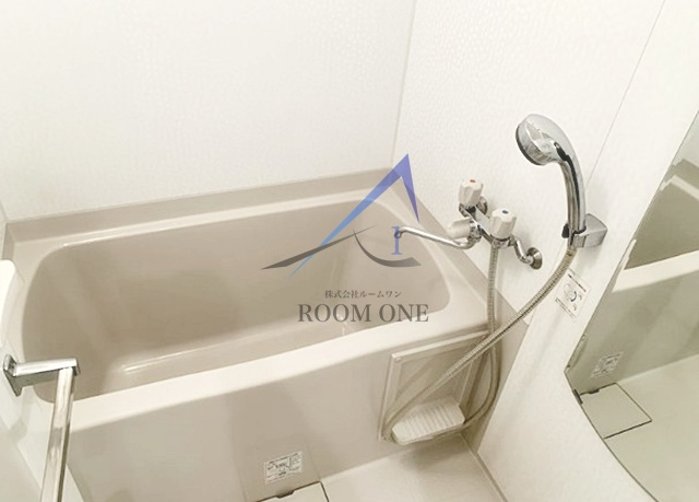 LE-LION Toyosu WISE Residenceの浴室|お風呂です。
