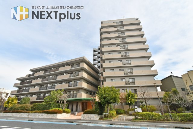 大宮パーク・ホームズの間取り|54㎡の広大ルーフバルコニー付の開放感溢れる3LDK角住戸。LDKと洋室からルーフバルコニーへ直接出入りでき、ペットの遊び場や家族の憩いの場に。全室に窓と収納を備えた、風通しの良い機能的な住空間。