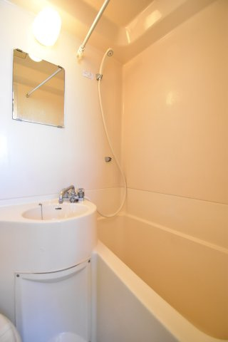 サトーハイツの洗面所