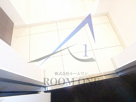 TOKIWADAI GRACE HILLSの玄関|玄関です。