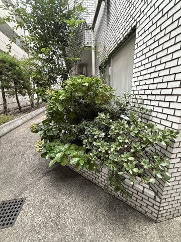 ロイヤルメゾン多摩川の外観