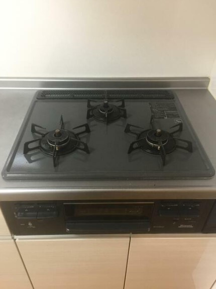 カーサグレースⅡのその他