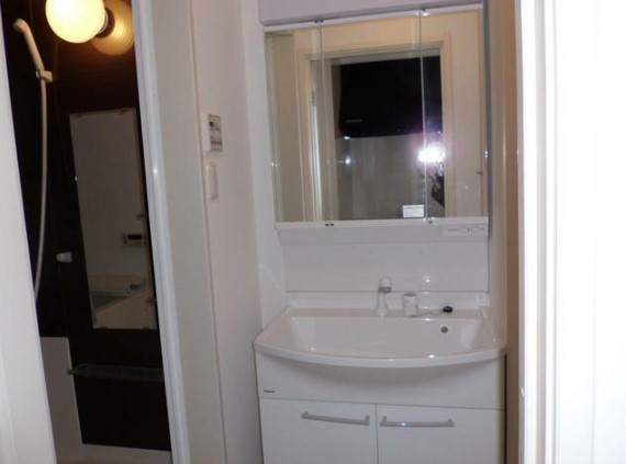 カーサグレースⅡの洗面所