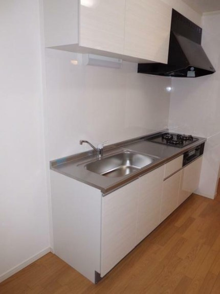 カーサグレースⅡのキッチン