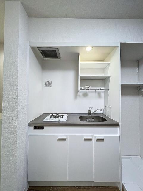 参考写真