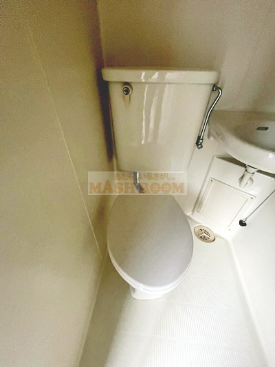 レステンシアのトイレ