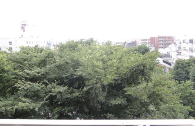 日神パレステージ西池袋公園の展望