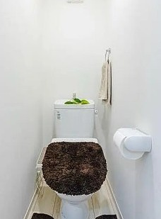 メルディア平井7丁目のトイレ