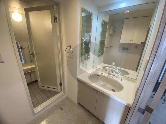 藤和シティホームズ永和の洗面所