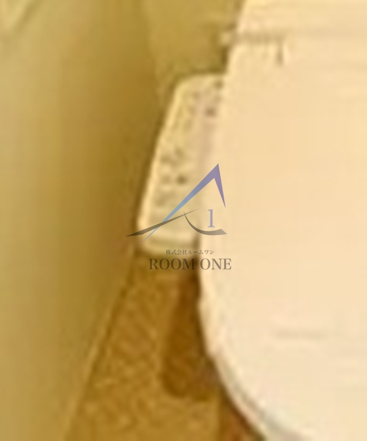 アイル カナーレ品川南