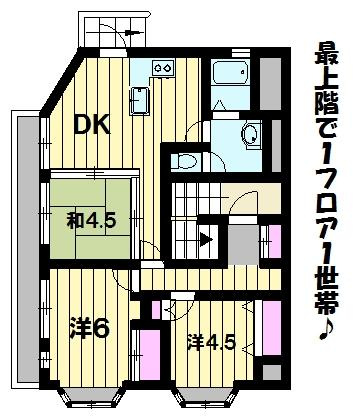 ターマ・サンゴ 