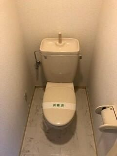 グリーンヒルＶＩＩのトイレ