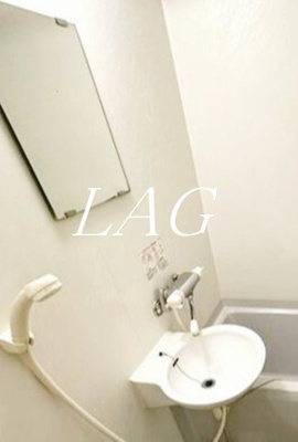 【洗面所】 | パインフォレスト | 洗面台です。