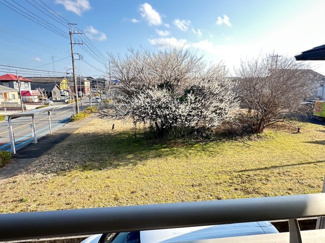 【展望】 | 千葉市緑区おゆみ野　中古戸建　鎌取駅 | バルコニーから見た緑地帯。この景観は2026年2月24日に撮った写真です。