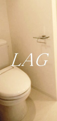 【トイレ】 | ブライズ森下リベラ | トイレです。