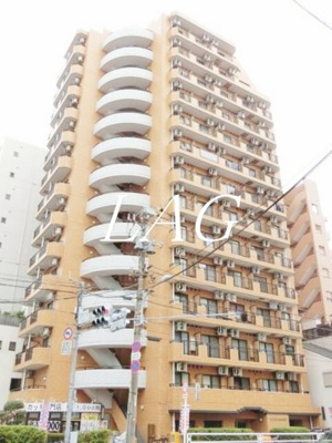 【外観】 | ダイアパレス錦糸町第５ | 外観です。