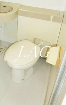 【トイレ】 | ダイアパレス錦糸町第５ | トイレです。