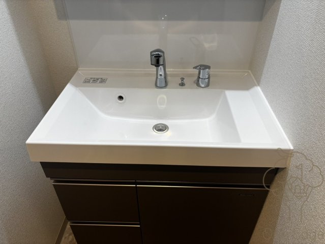 エステムコート新大阪X VIパルスの洗面所