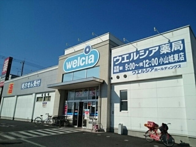 【周辺】 | サン・クレメントＺＥＲＯ | ウエルシア小山城東店まで600m