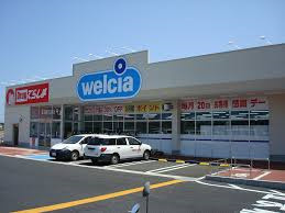 ２階角部屋：デザインリフォーム～サンシティ春日A棟～の周辺|ドラッグストアまで３５０メートル