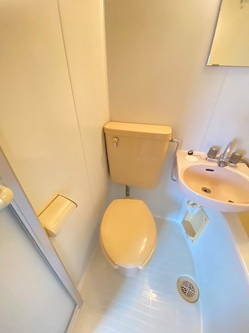 メゾン段上のトイレ