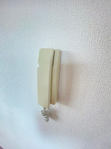 メゾン段上のセキュリティ