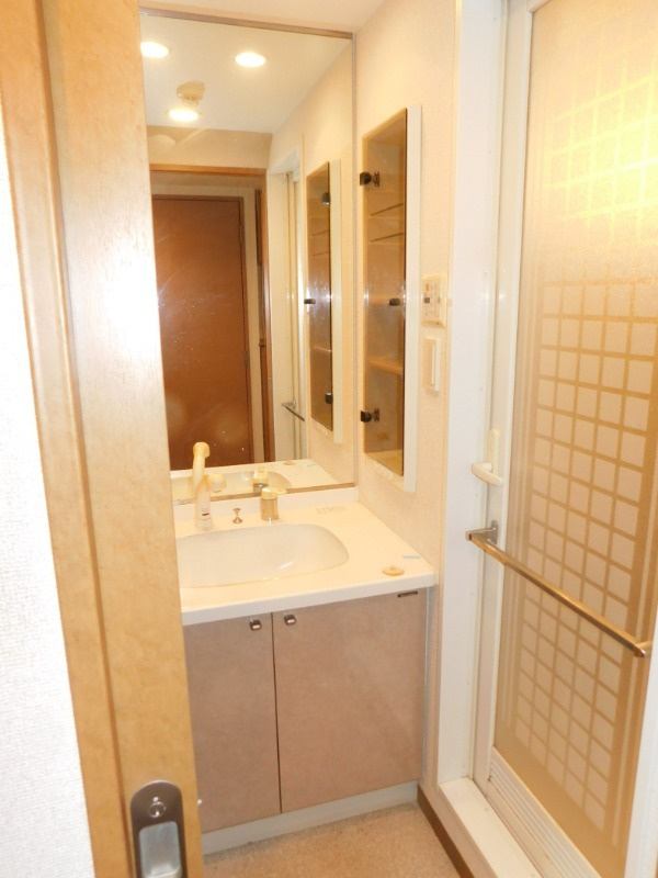 ステラメゾン下北沢の洗面所