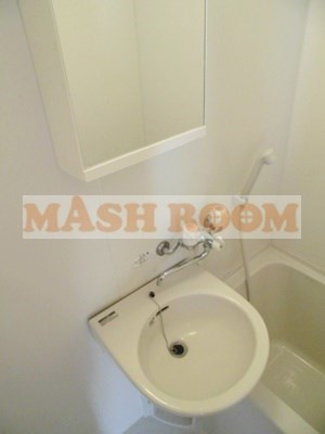 環球ハウスの洗面所