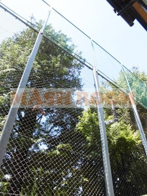 環球ハウスの展望