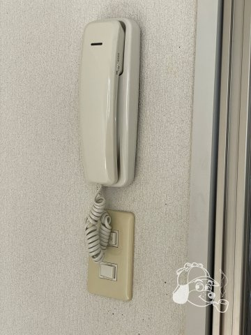 リッシュシェソワのセキュリティ