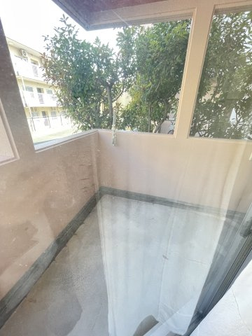 エヴァグリーンのバルコニー