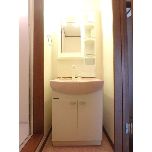 ネイステージAの洗面所