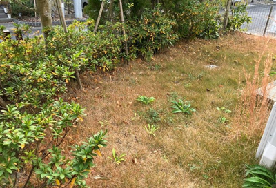 【展望】 | 手賀の杜戸建