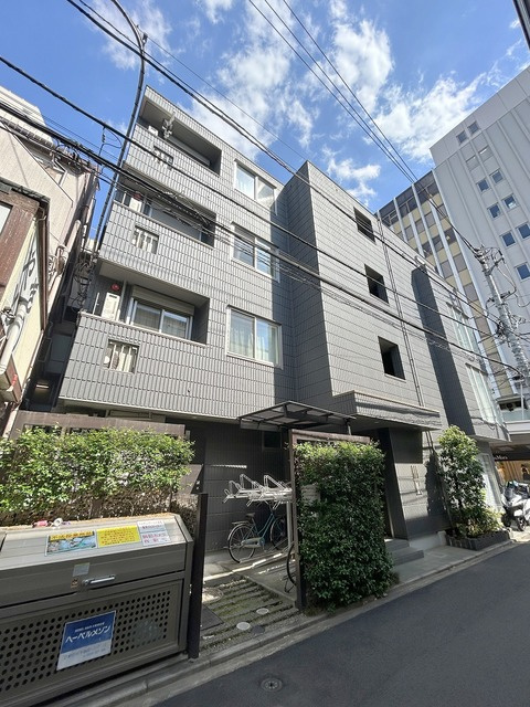 トルチェノアール