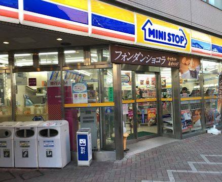 ハイズヴィガー墨田の周辺