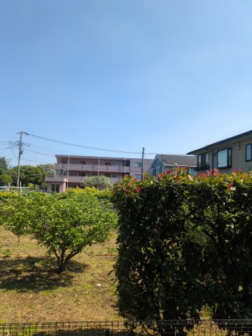 エブリーヌⅡの展望