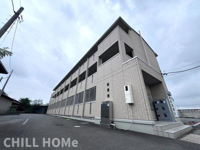 オルタシアカツラ